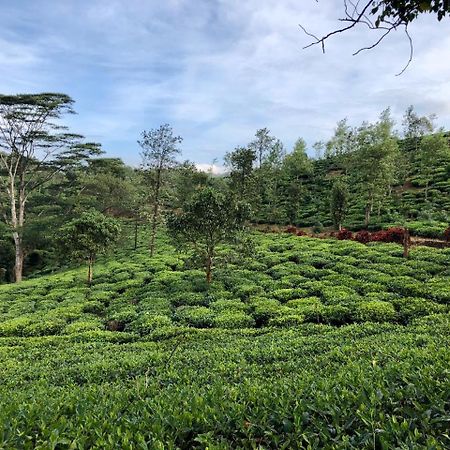 Parisons Plantation Experiences By Abad 호텔 마난타바디 외부 사진