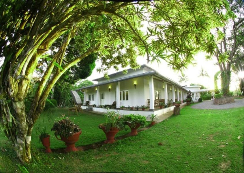 Parisons Plantation Experiences By Abad 호텔 마난타바디 외부 사진
